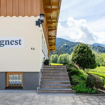 Bergnest Salvenblick *