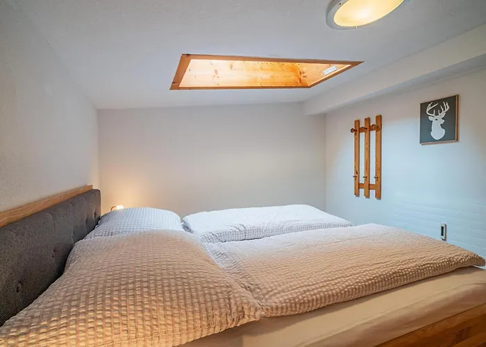 Bergnest Salvenblick * 瑟尔