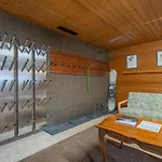 Bergnest Salvenblick Söll